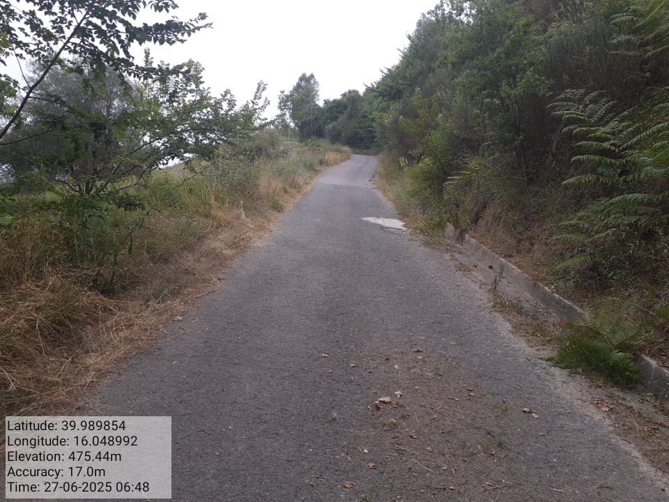 Galleria Fotografica Immagine