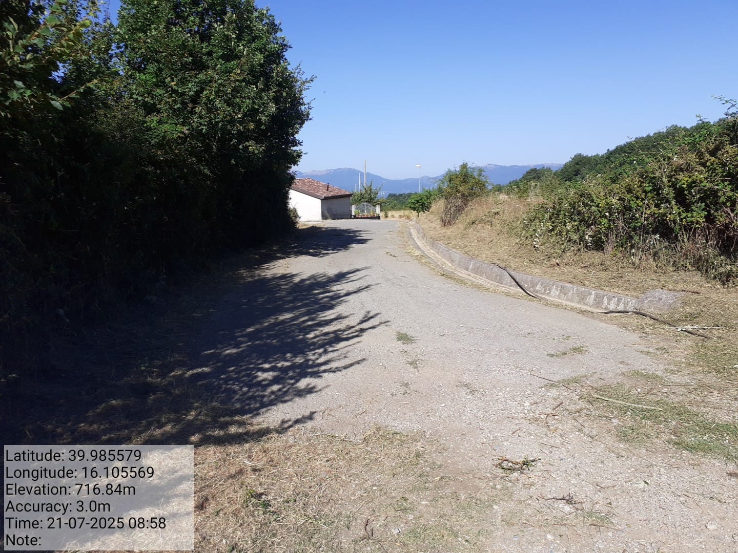 Galleria Fotografica Immagine