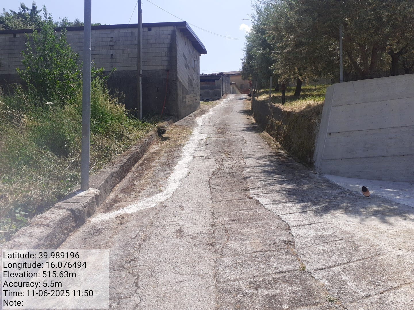 Galleria Fotografica Immagine