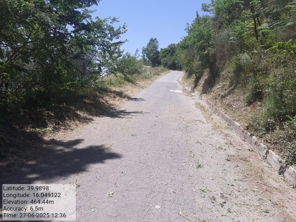 Galleria Fotografica Immagine