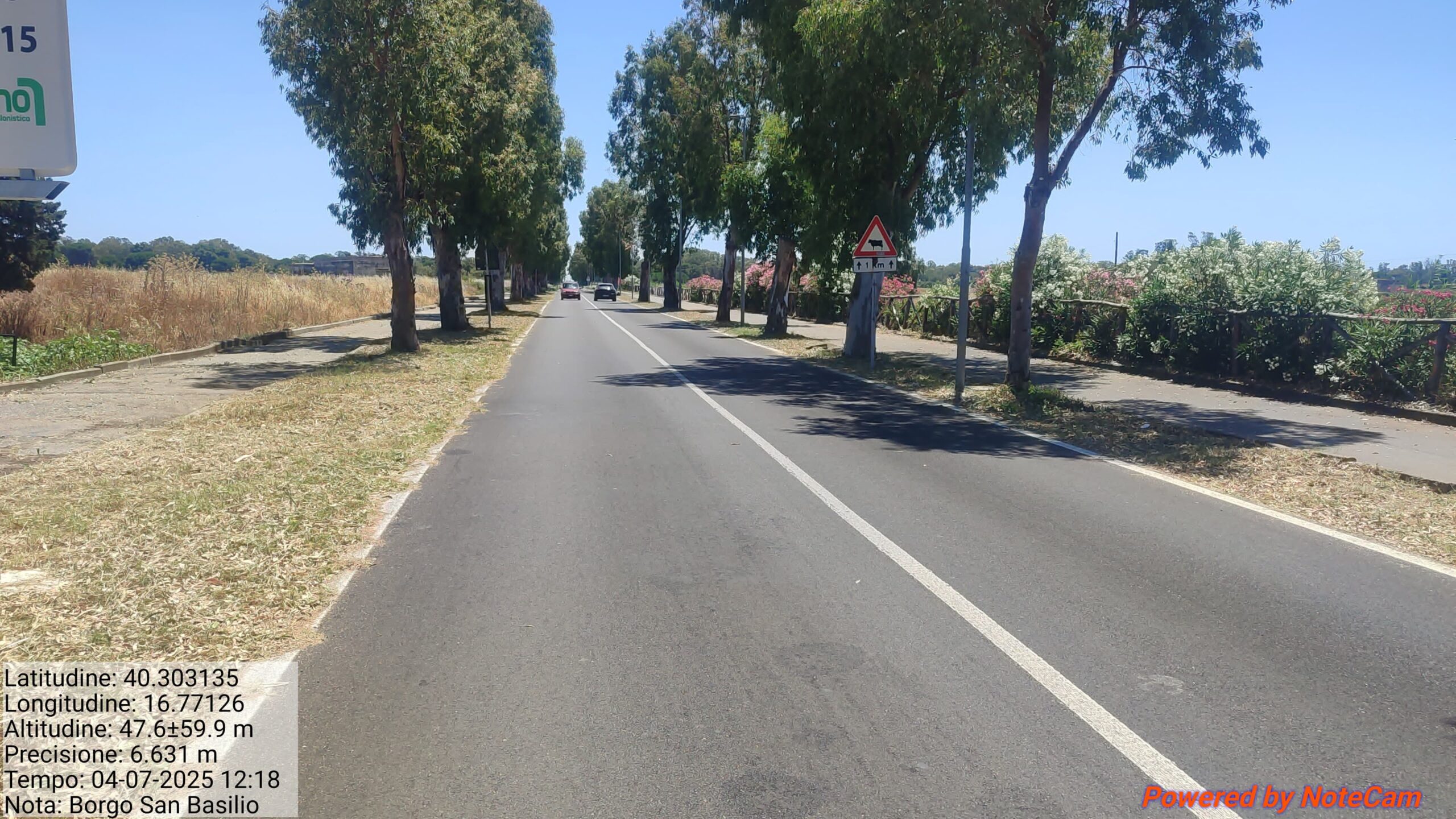 Galleria Fotografica Immagine