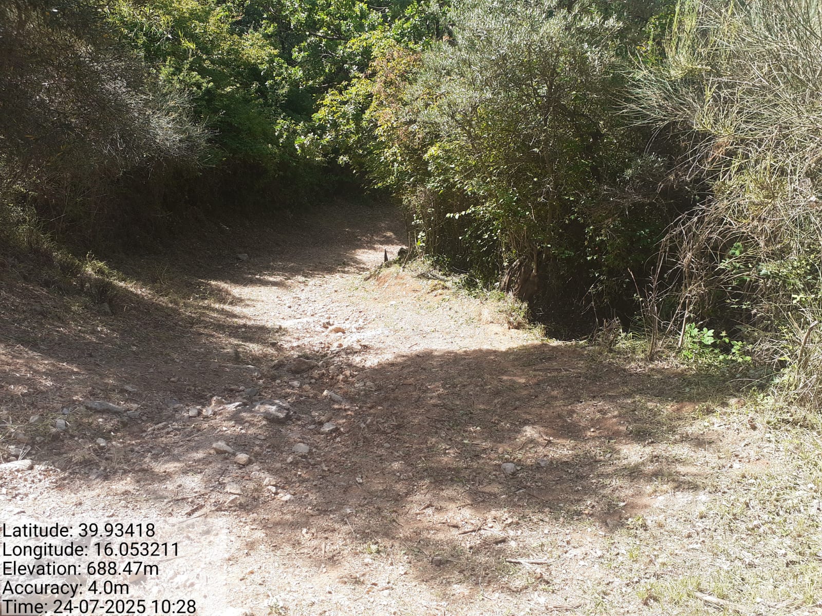 Galleria Fotografica Immagine