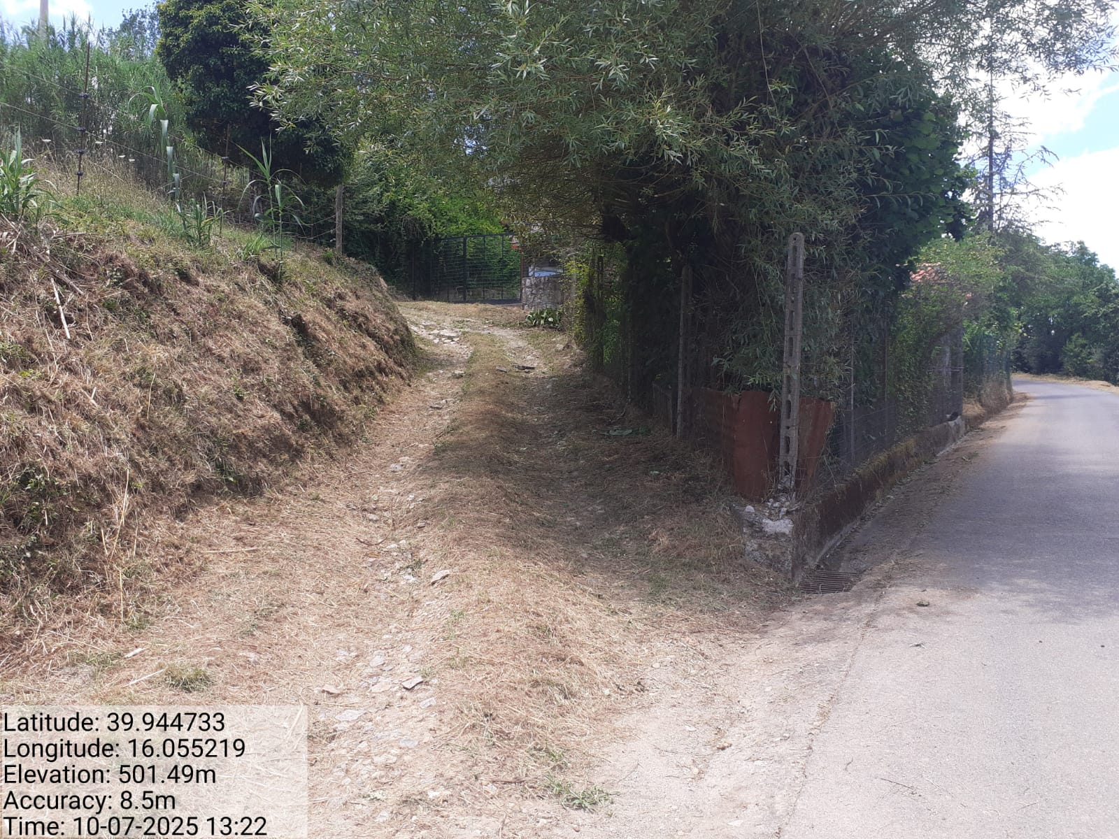 Galleria Fotografica Immagine