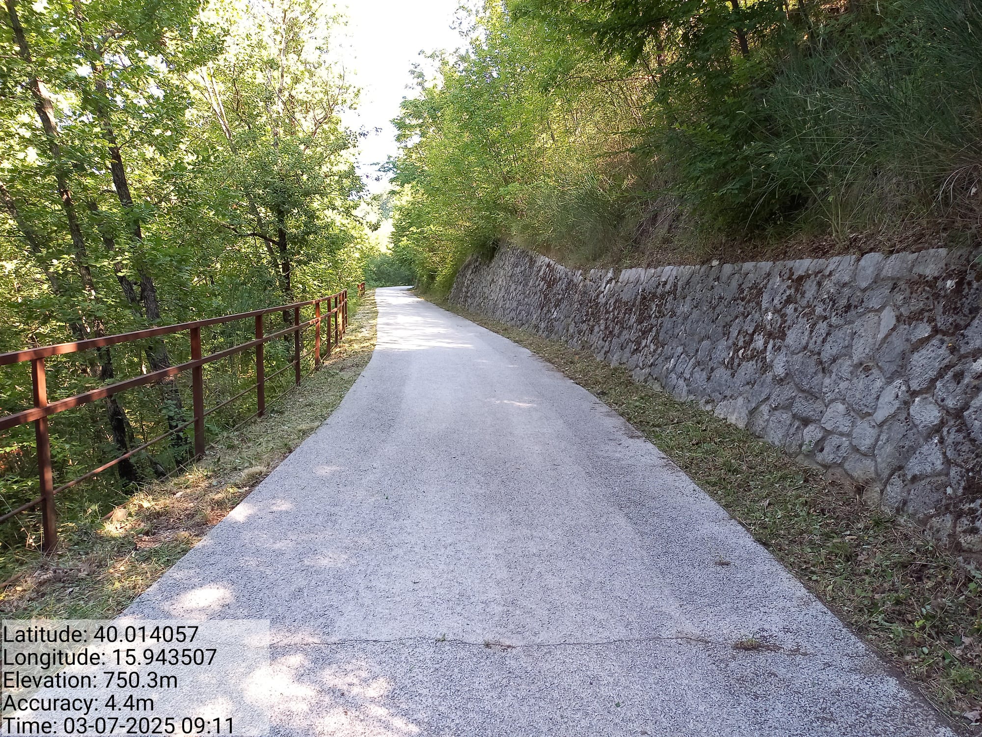 Galleria Fotografica Immagine