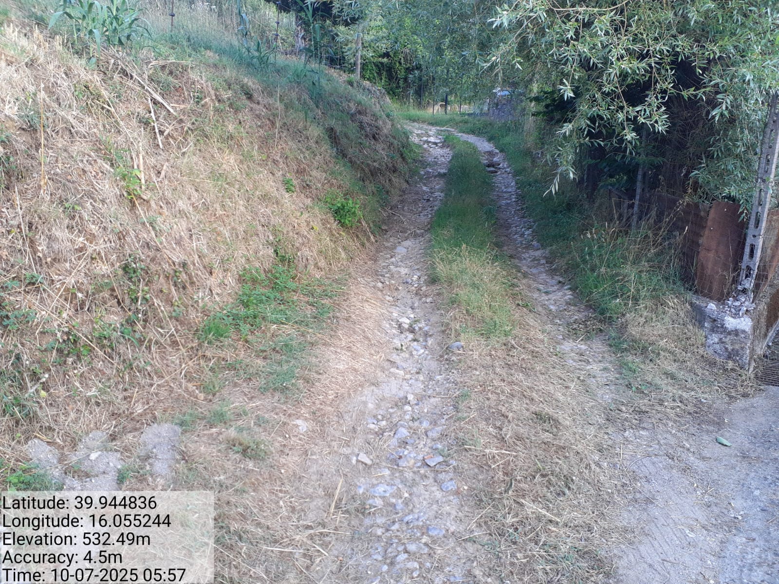 Galleria Fotografica Immagine