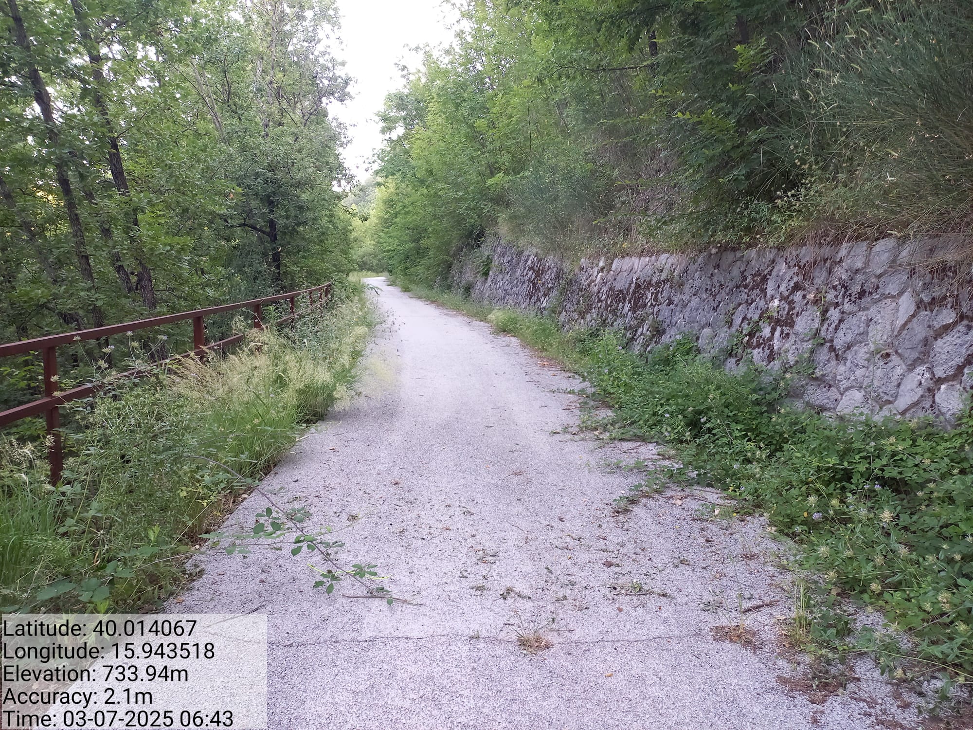 Galleria Fotografica Immagine