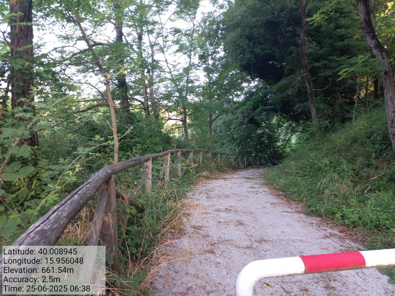 Galleria Fotografica Immagine