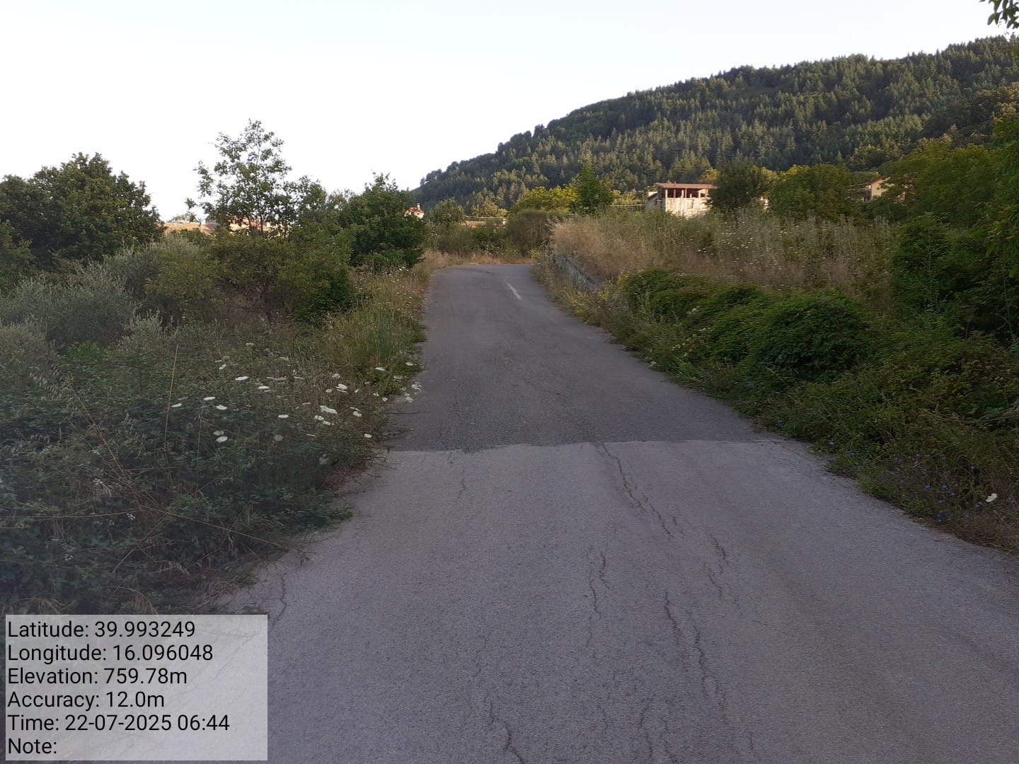 Galleria Fotografica Immagine