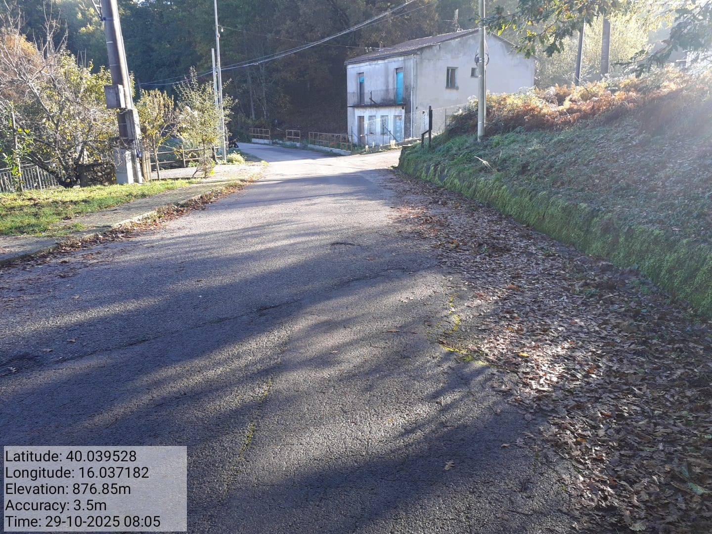 Galleria Fotografica Immagine