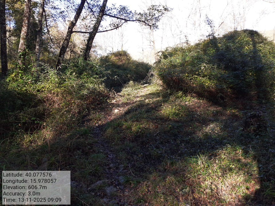 Galleria Fotografica Immagine