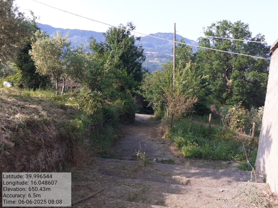 Galleria Fotografica Immagine