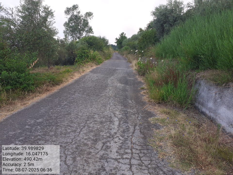 Galleria Fotografica Immagine