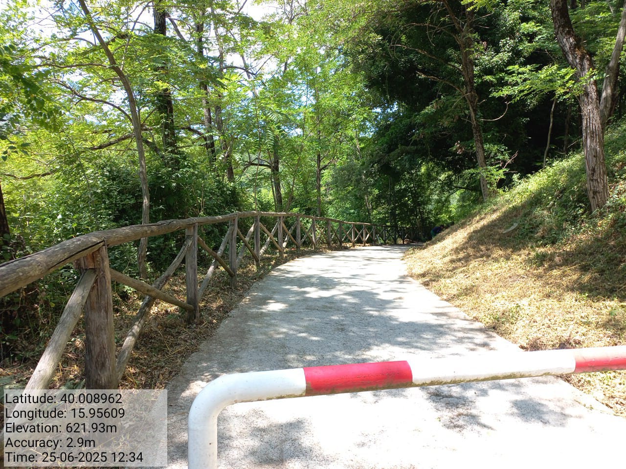 Galleria Fotografica Immagine