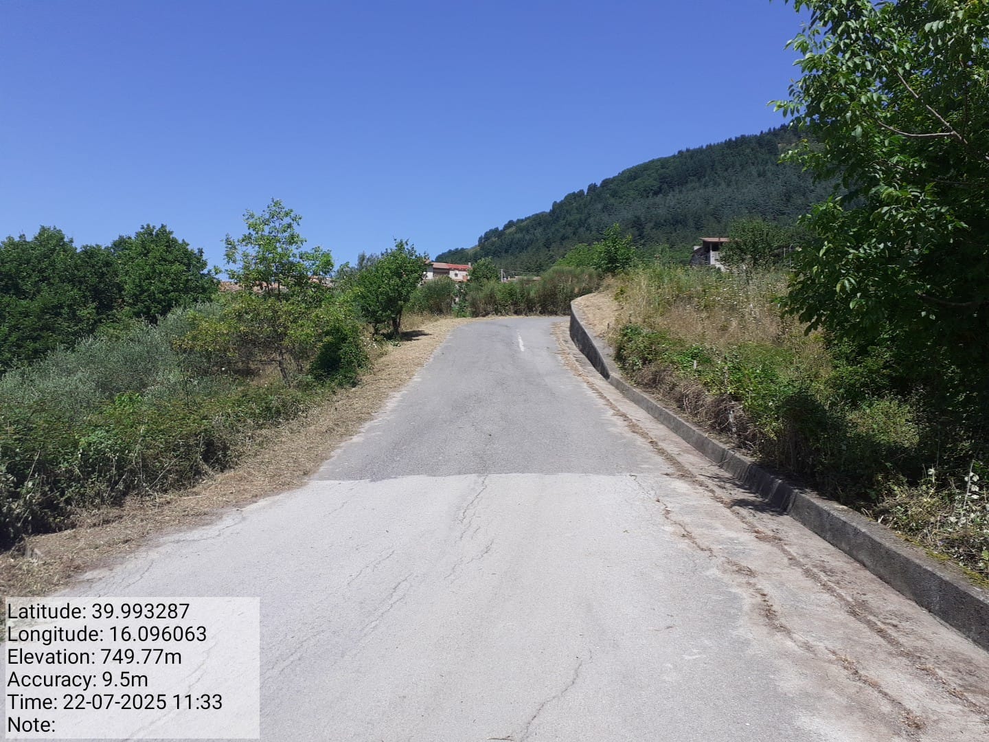 Galleria Fotografica Immagine