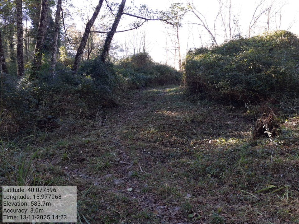 Galleria Fotografica Immagine