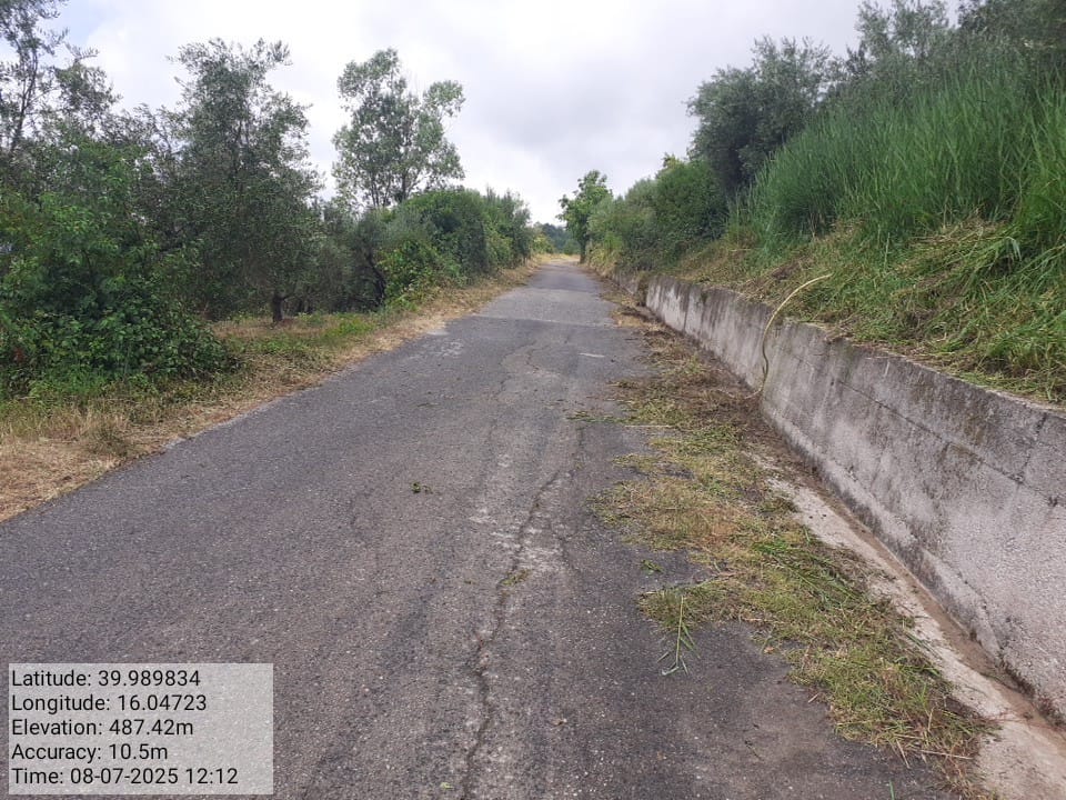 Galleria Fotografica Immagine