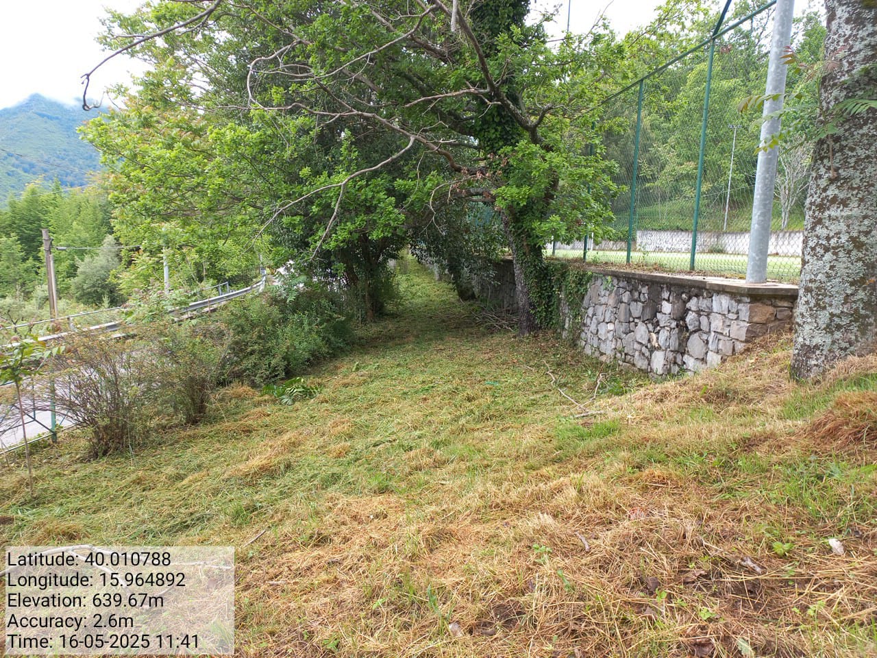 Galleria Fotografica Immagine