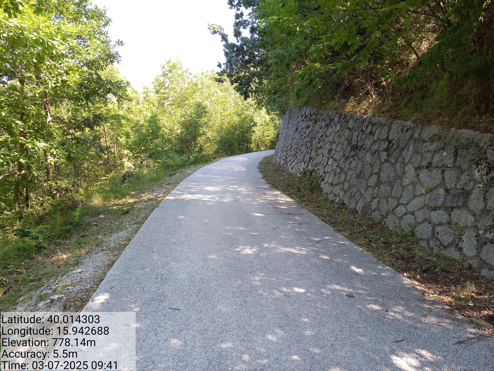 Galleria Fotografica Immagine