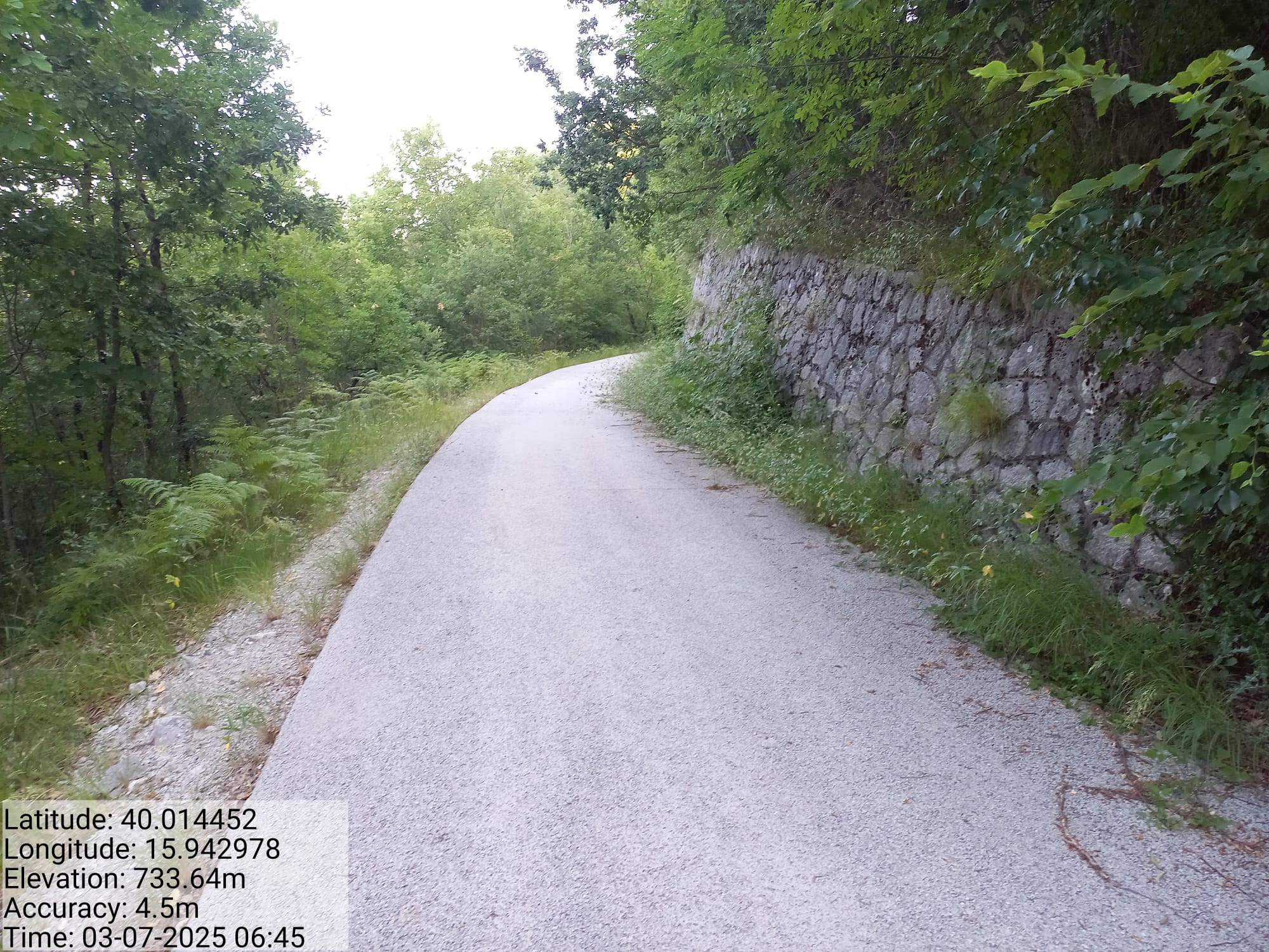 Galleria Fotografica Immagine