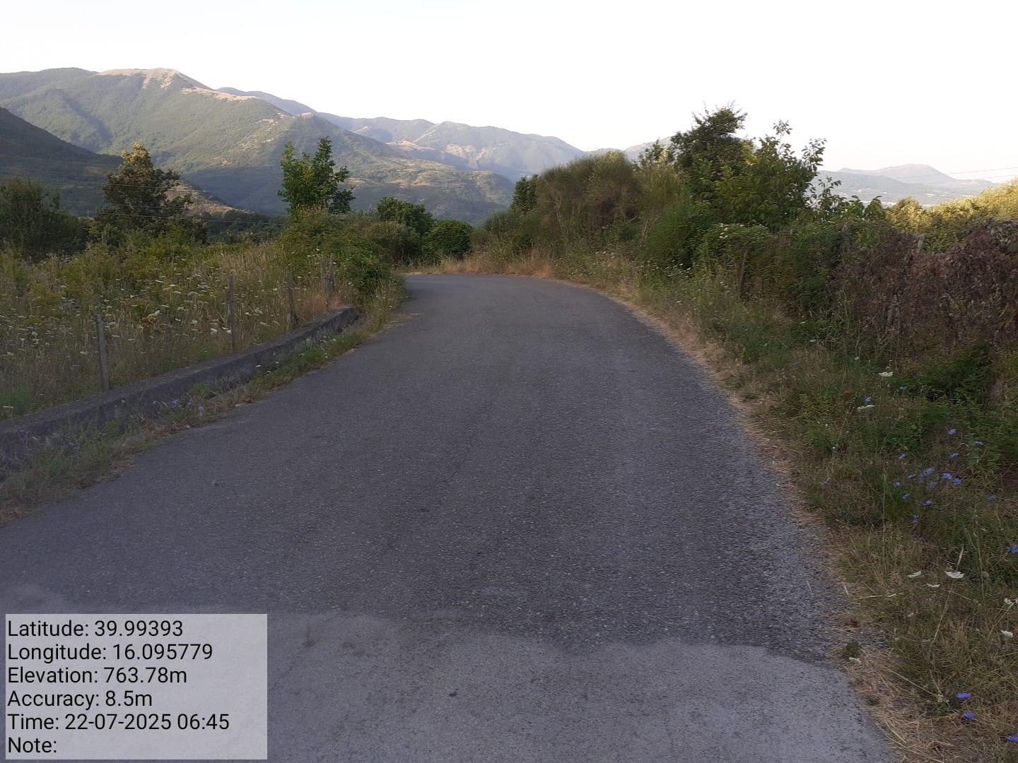 Galleria Fotografica Immagine