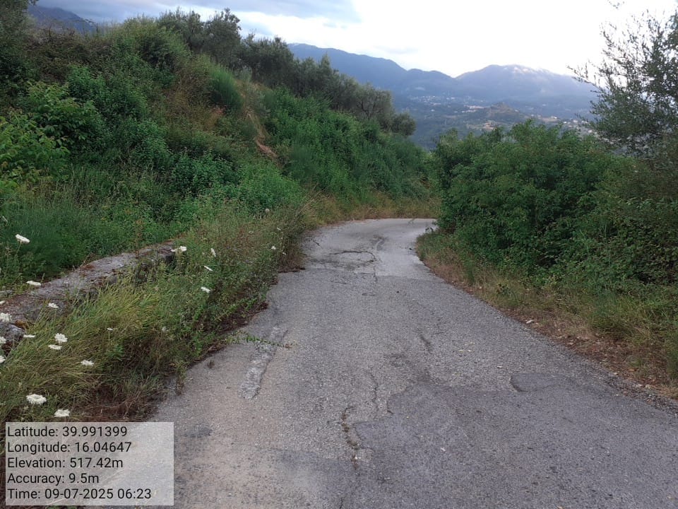 Galleria Fotografica Immagine