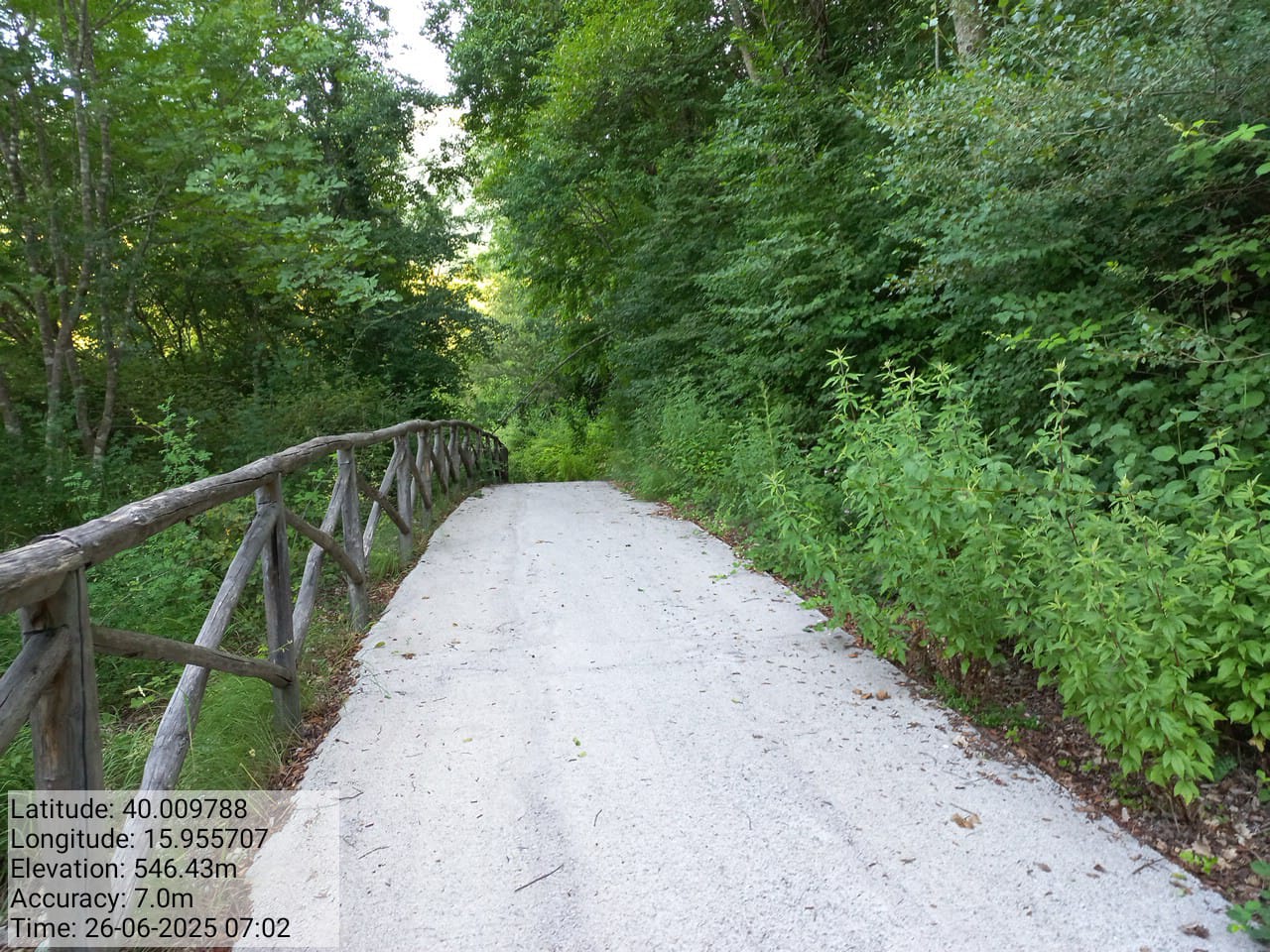 Galleria Fotografica Immagine