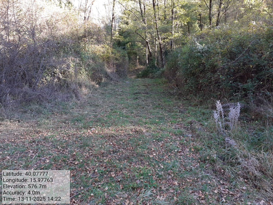 Galleria Fotografica Immagine