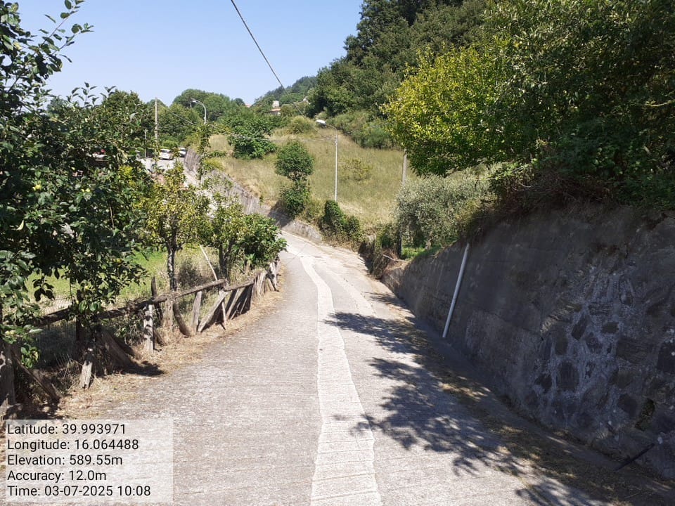 Galleria Fotografica Immagine