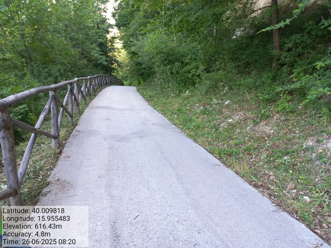 Galleria Fotografica Immagine