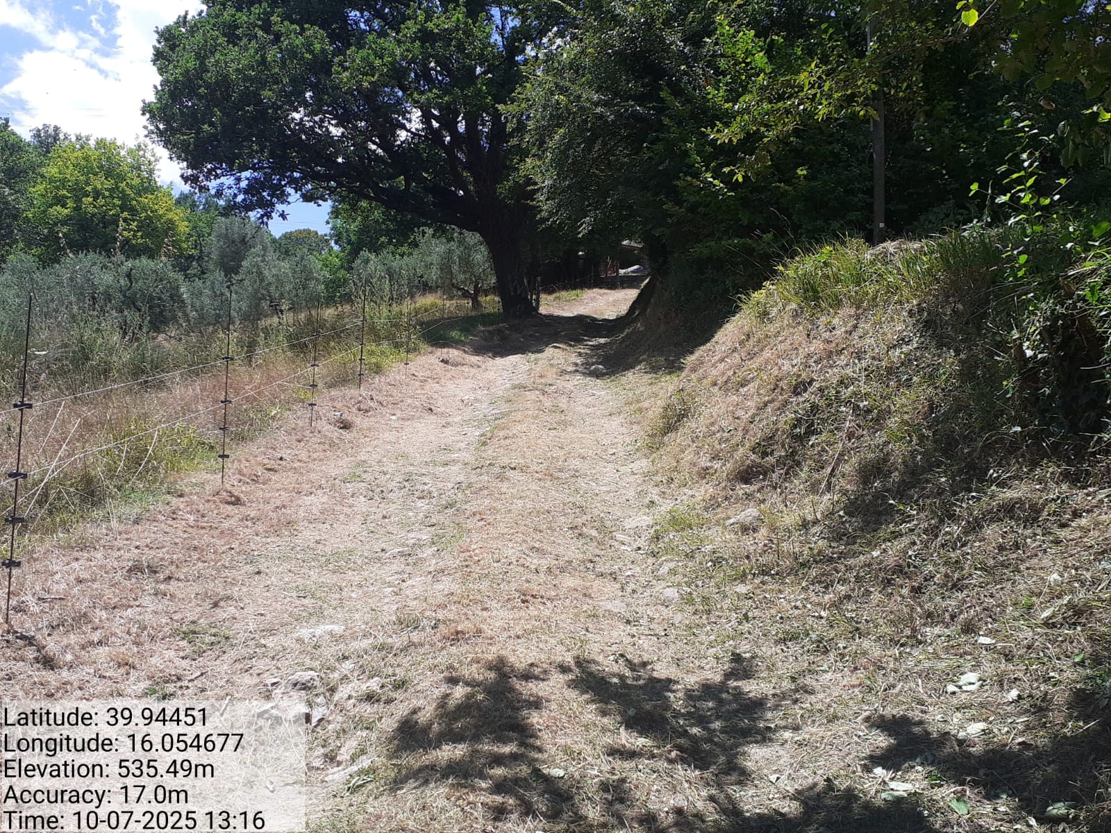 Galleria Fotografica Immagine