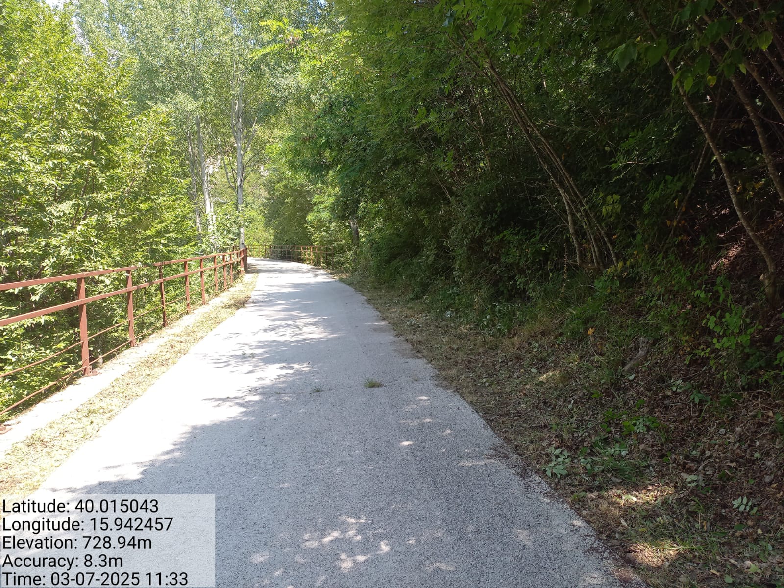 Galleria Fotografica Immagine