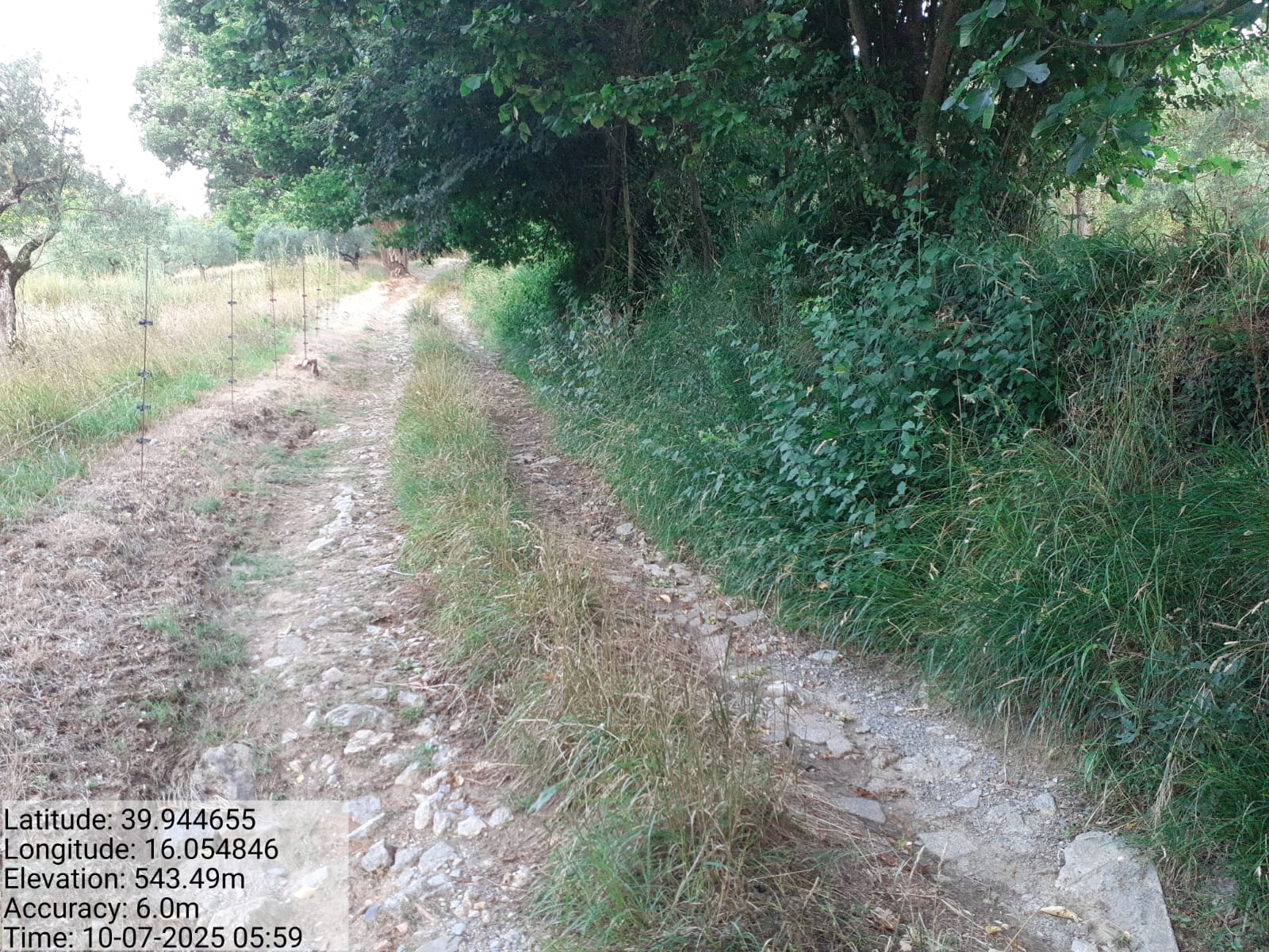 Galleria Fotografica Immagine