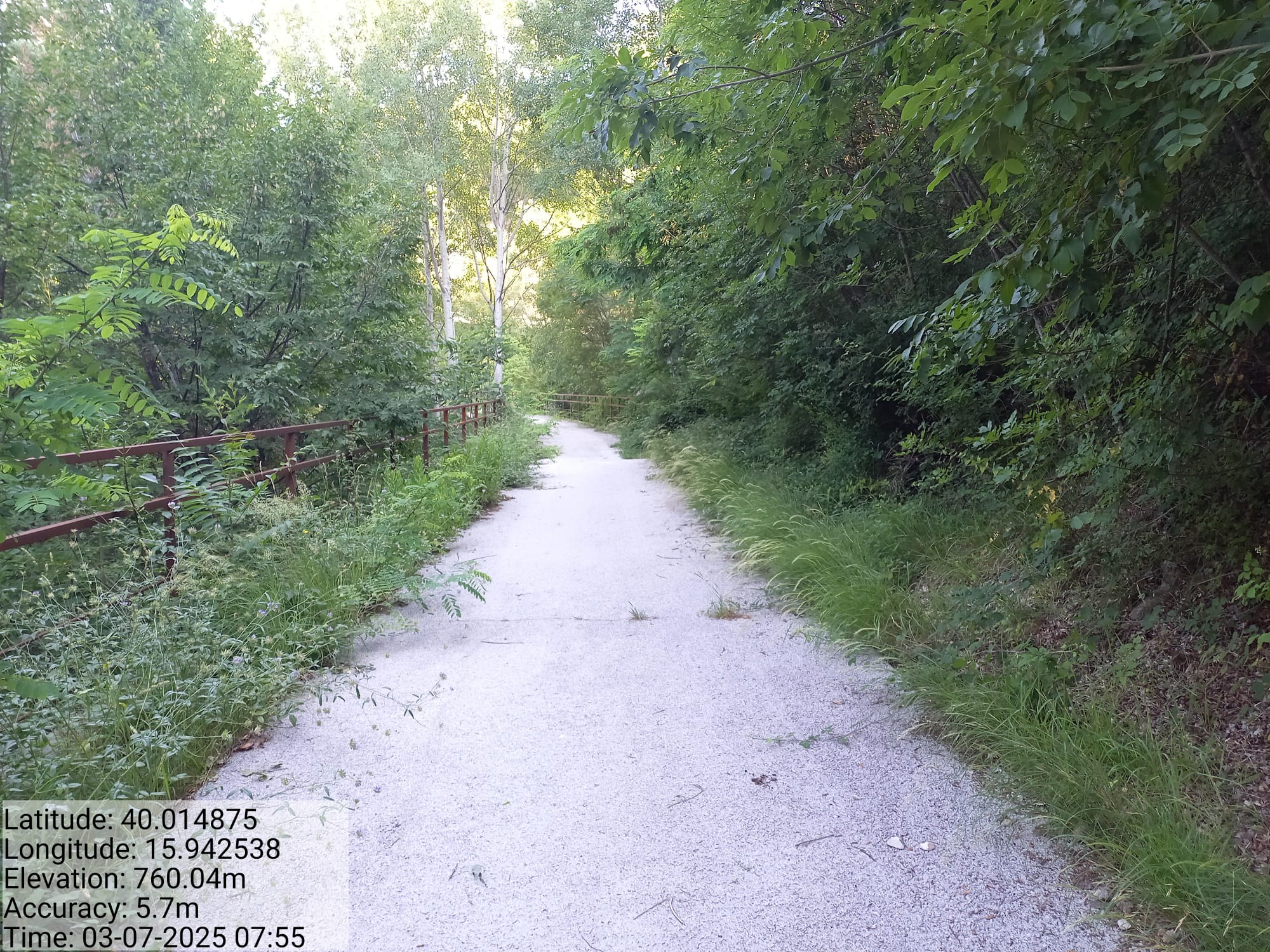 Galleria Fotografica Immagine