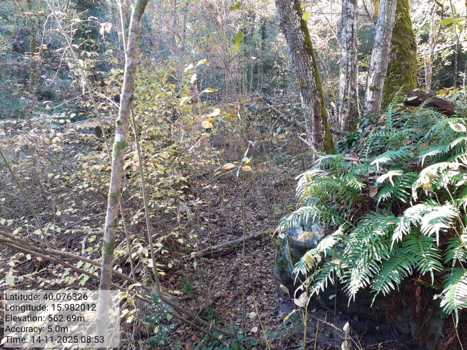 Galleria Fotografica Immagine