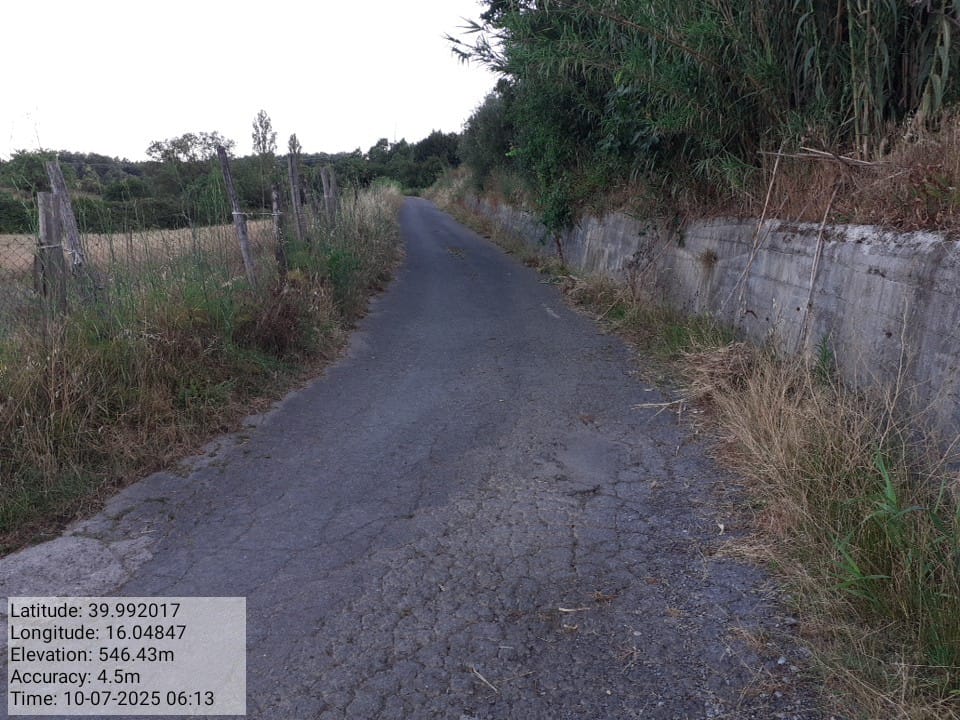 Galleria Fotografica Immagine