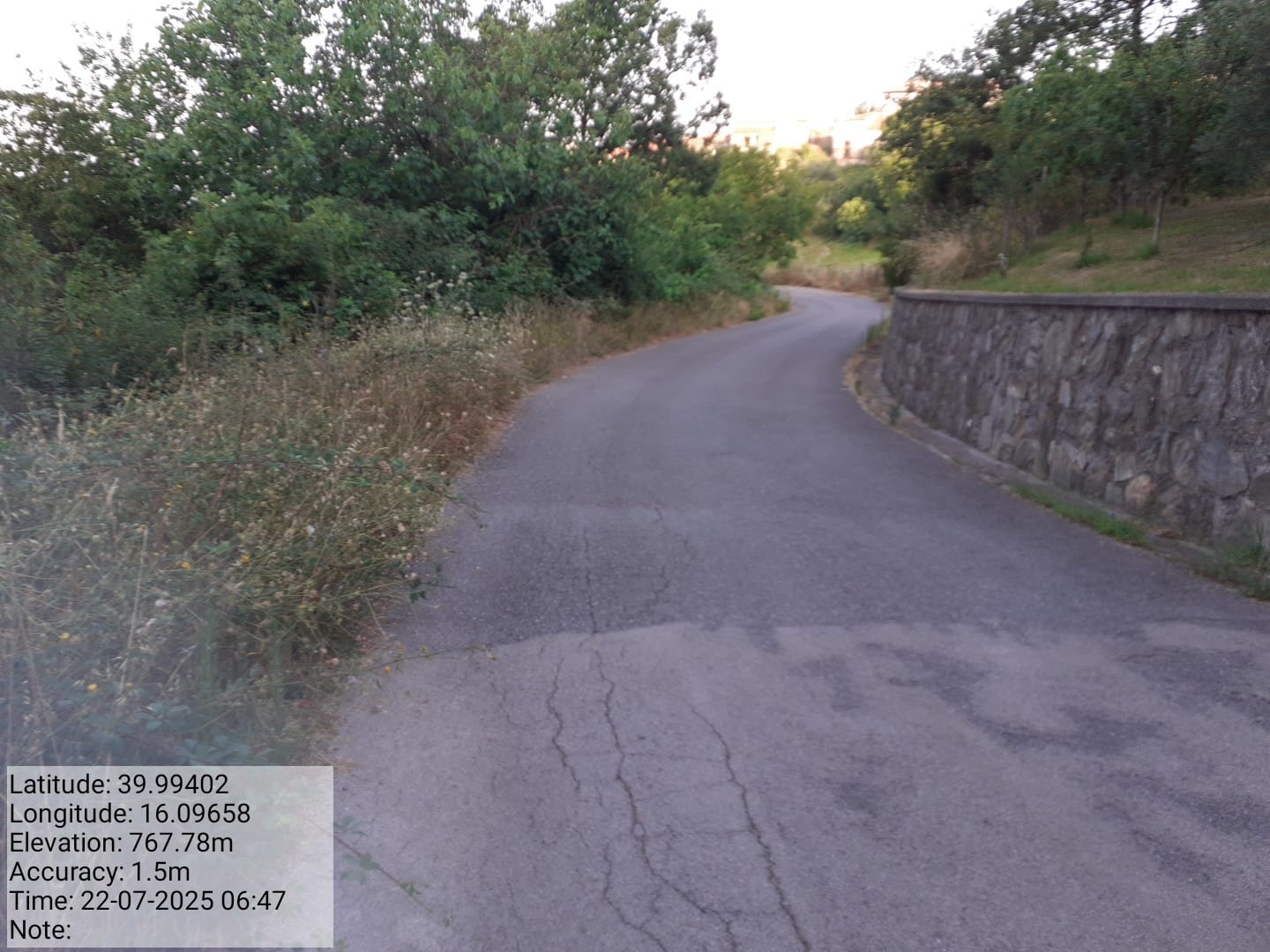 Galleria Fotografica Immagine