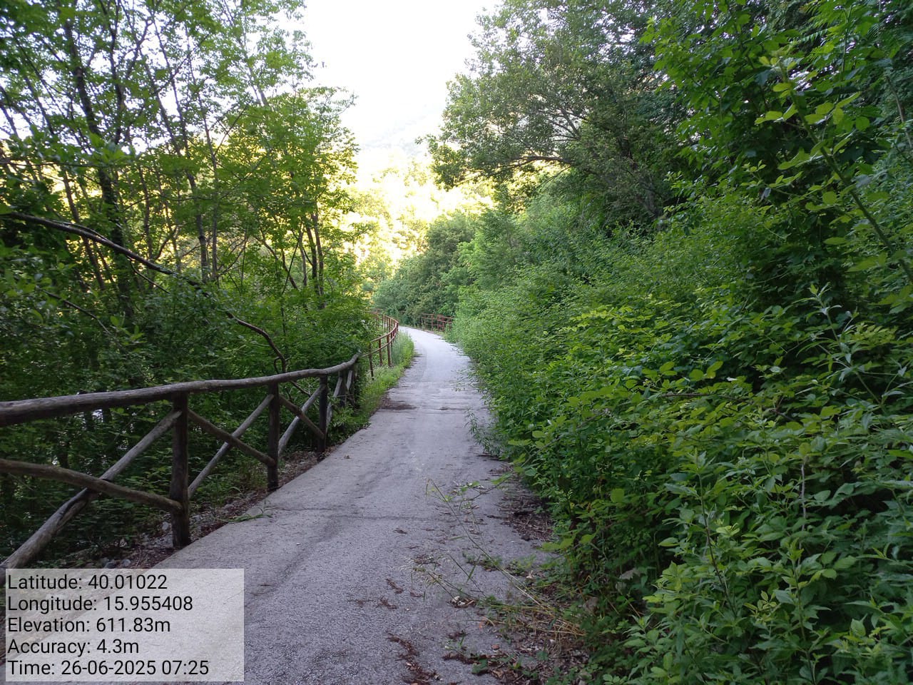 Galleria Fotografica Immagine