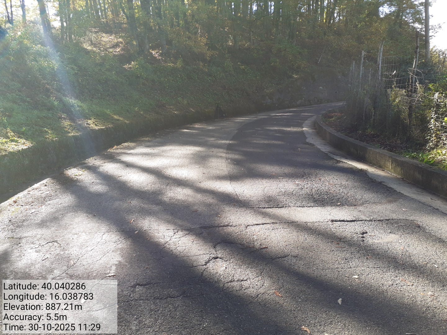 Galleria Fotografica Immagine