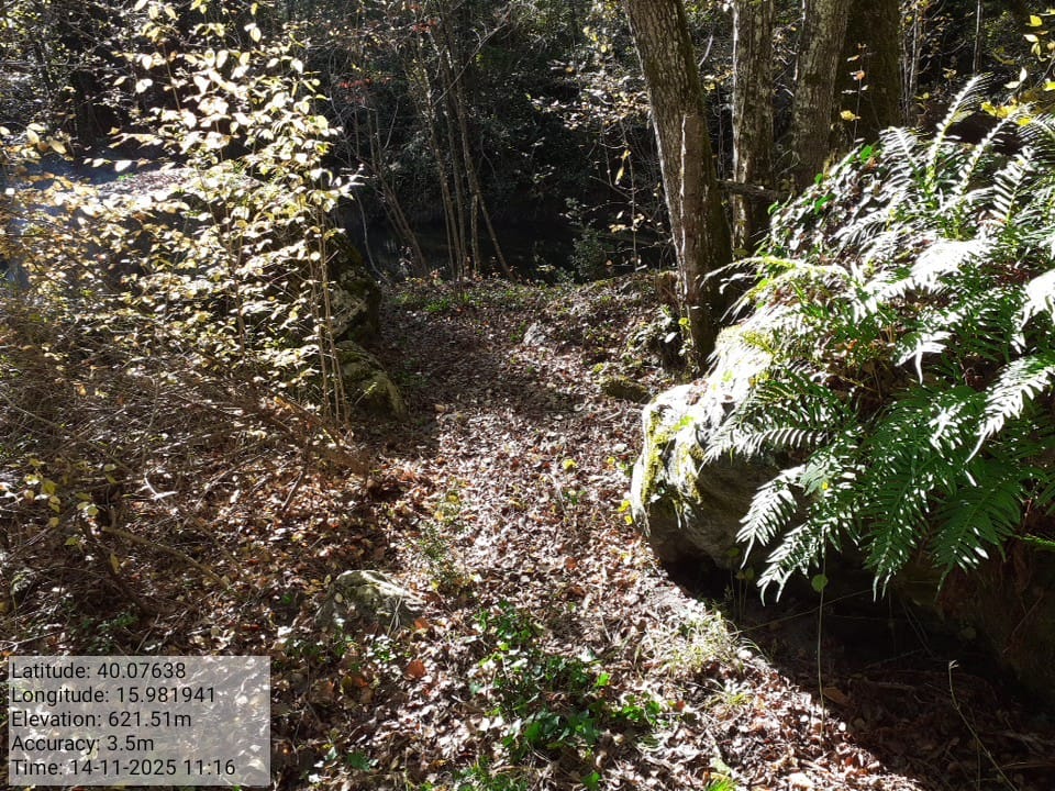 Galleria Fotografica Immagine