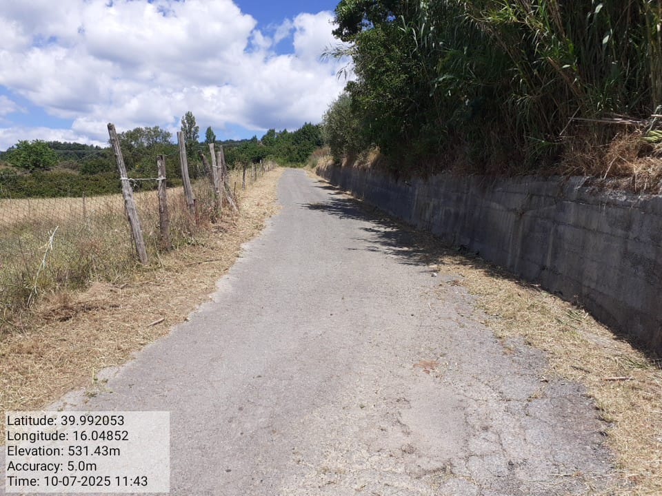 Galleria Fotografica Immagine