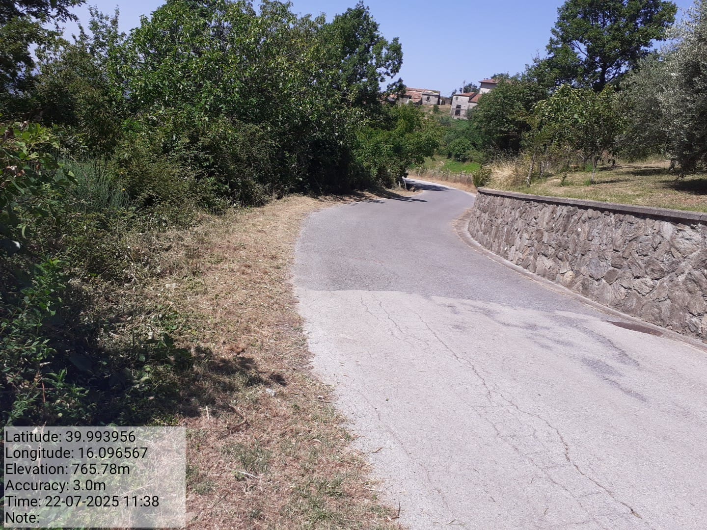 Galleria Fotografica Immagine