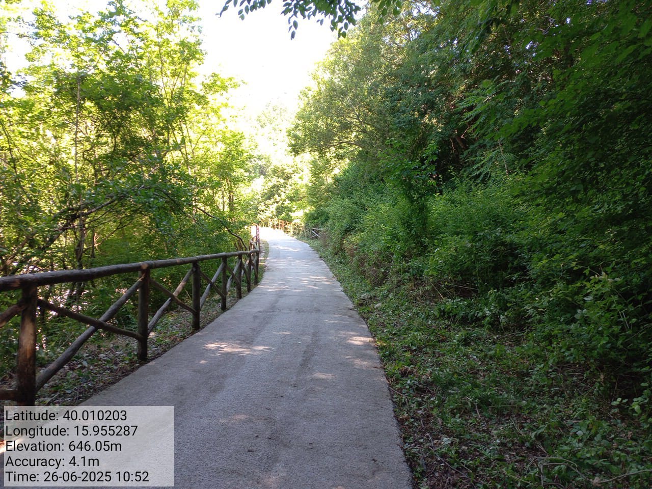 Galleria Fotografica Immagine