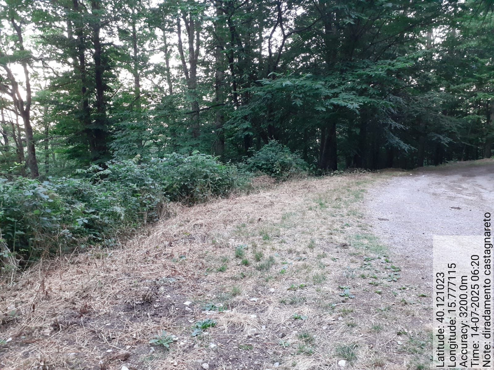 Galleria Fotografica Immagine