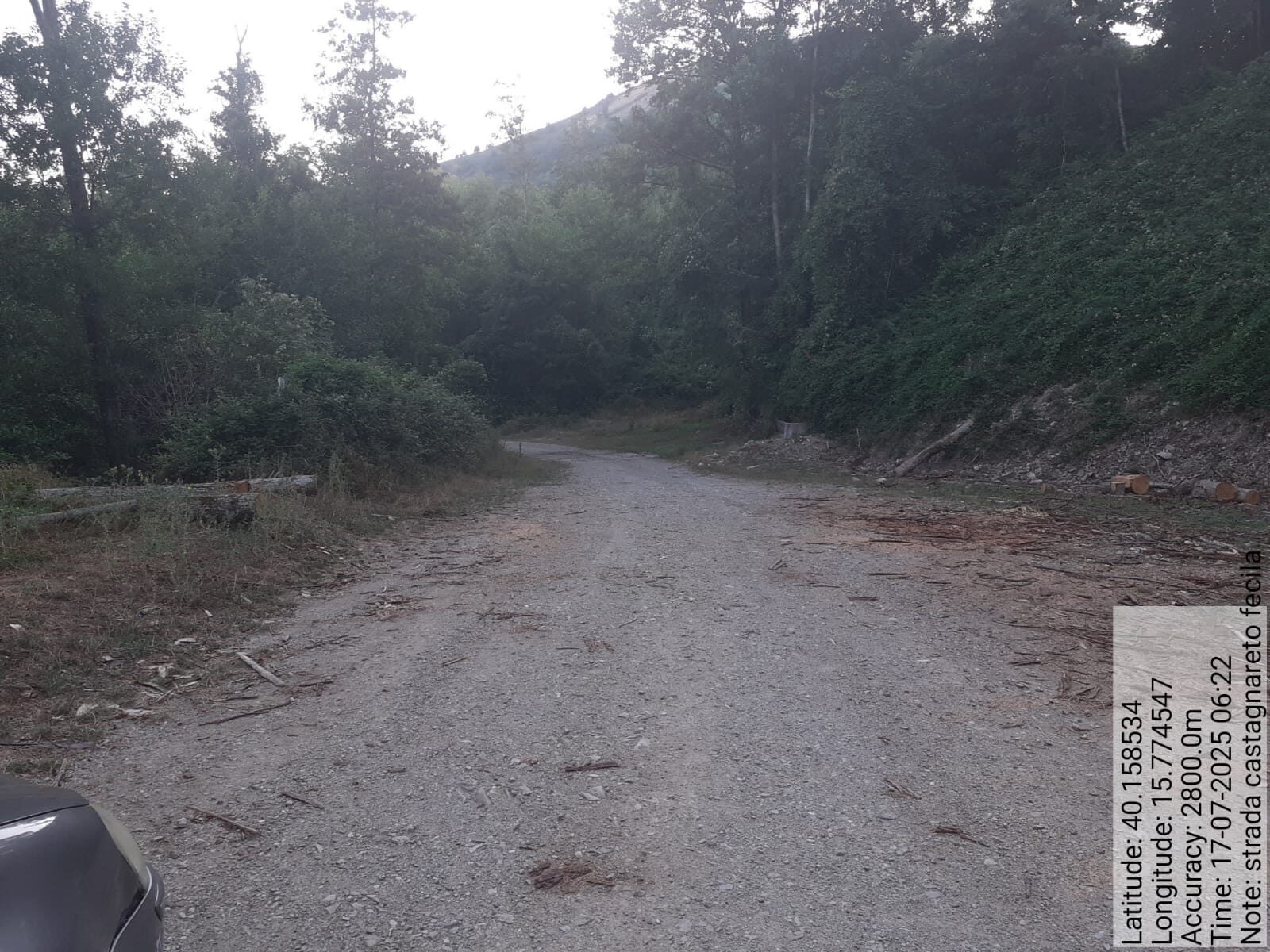 Galleria Fotografica Immagine