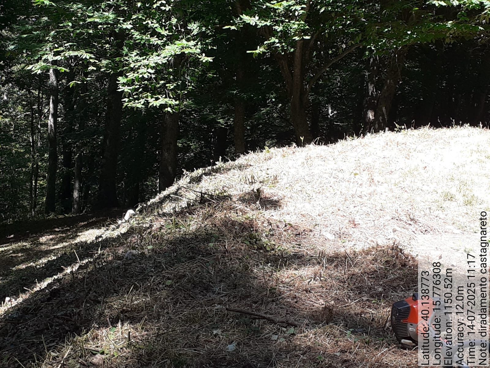 Galleria Fotografica Immagine