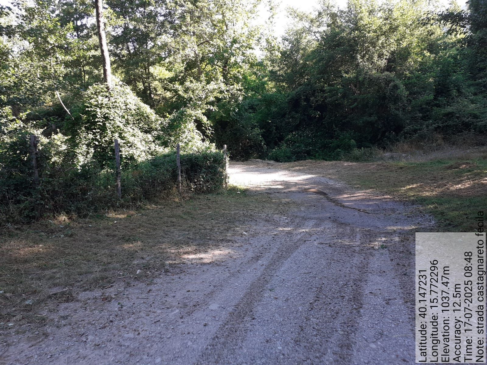 Galleria Fotografica Immagine