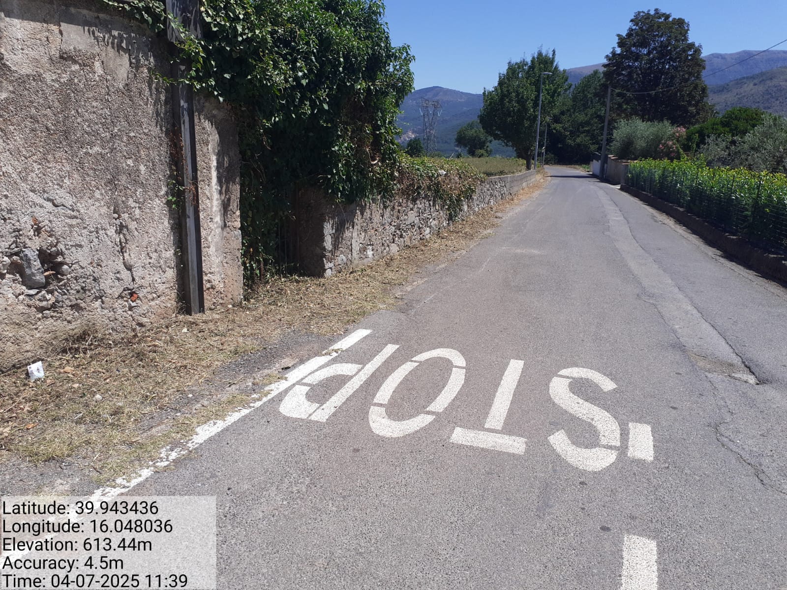 Galleria Fotografica Immagine