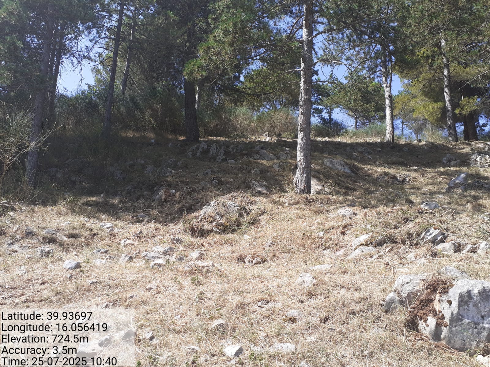 Galleria Fotografica Immagine