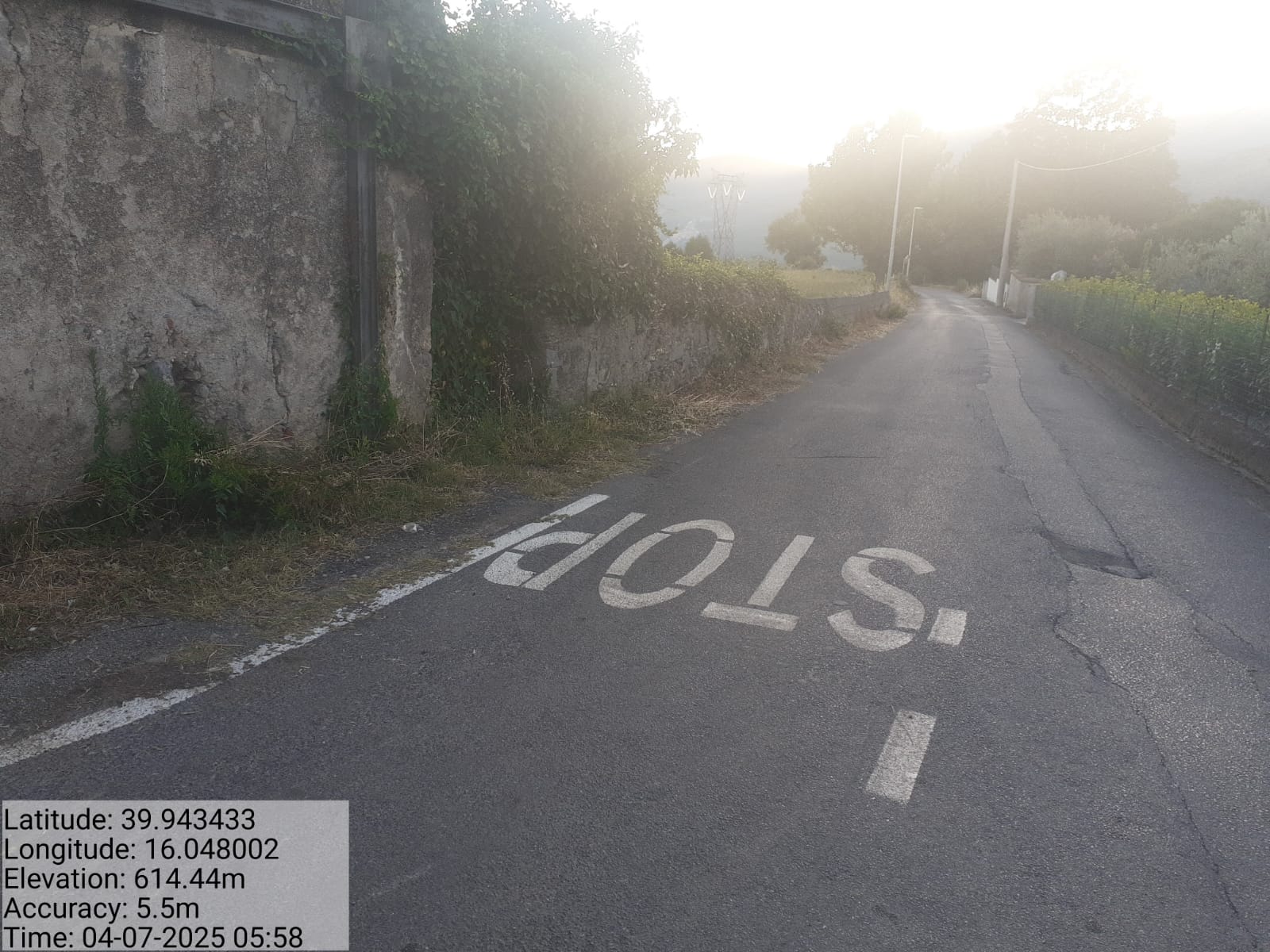 Galleria Fotografica Immagine