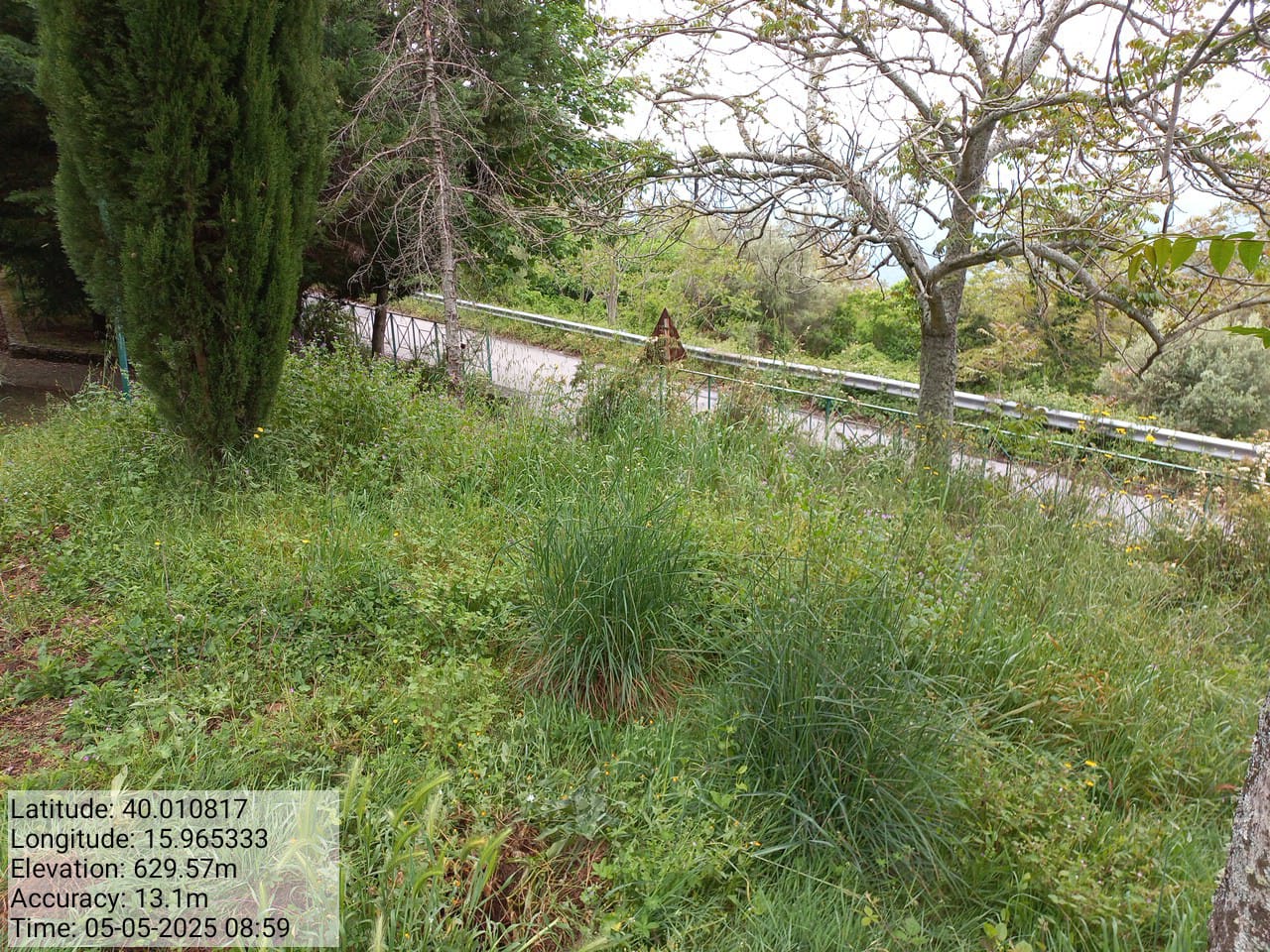 Galleria Fotografica Immagine